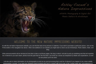 Entergraph-Web-Design-Client-Ashley-Vincent–Nature-Impressions