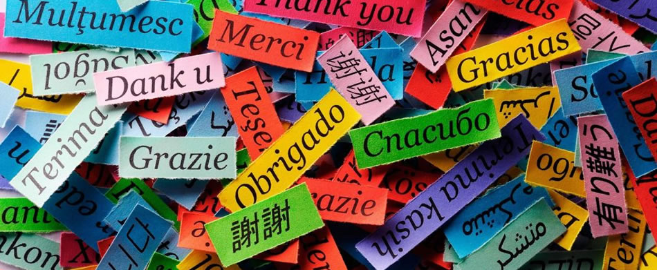 Multilingual SEO for Your Web Site